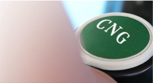 Compressed Natural Gas Information about CNG
